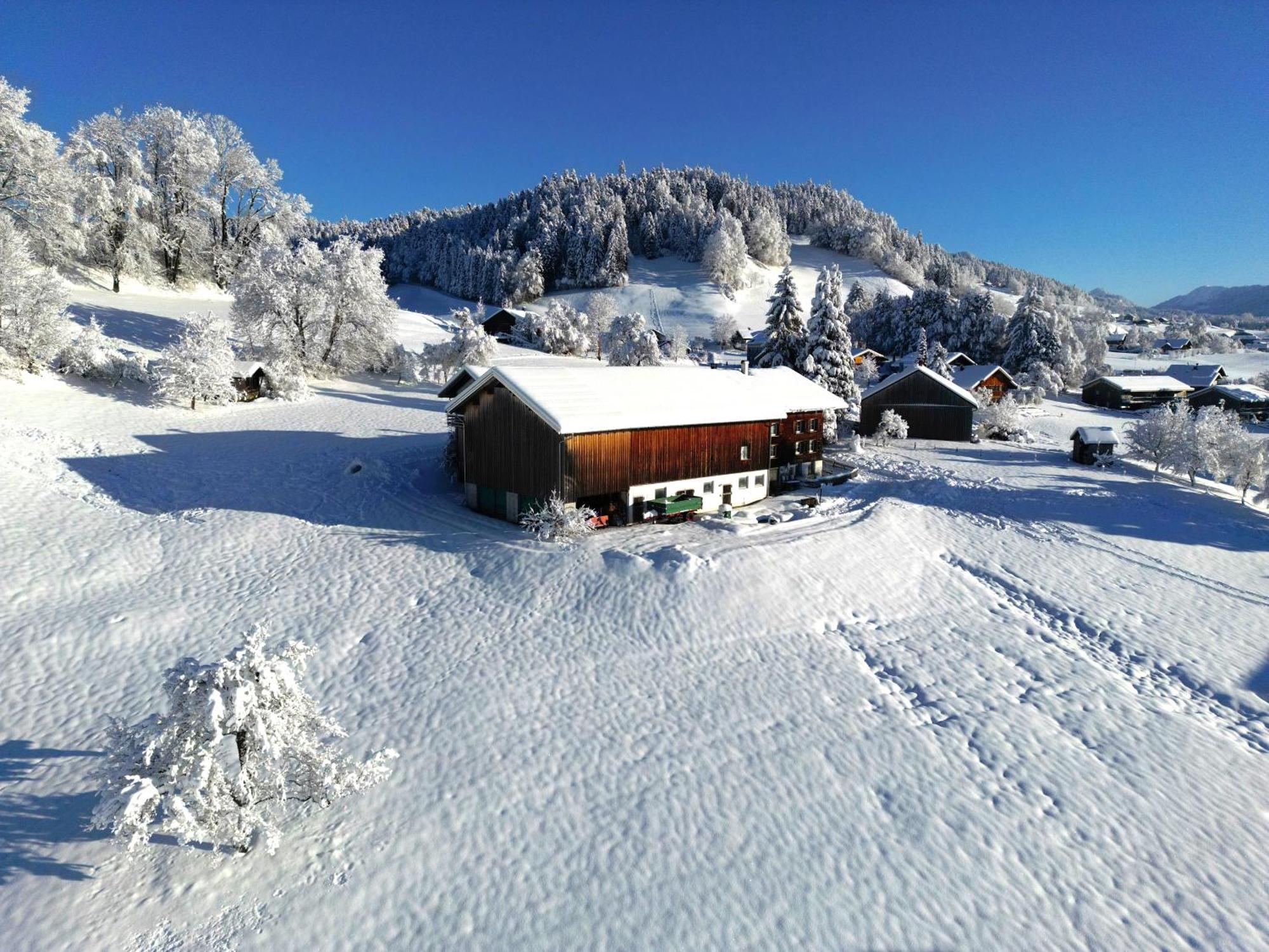 Bergoase Hohenegg Villa Lingenau Dış mekan fotoğraf
