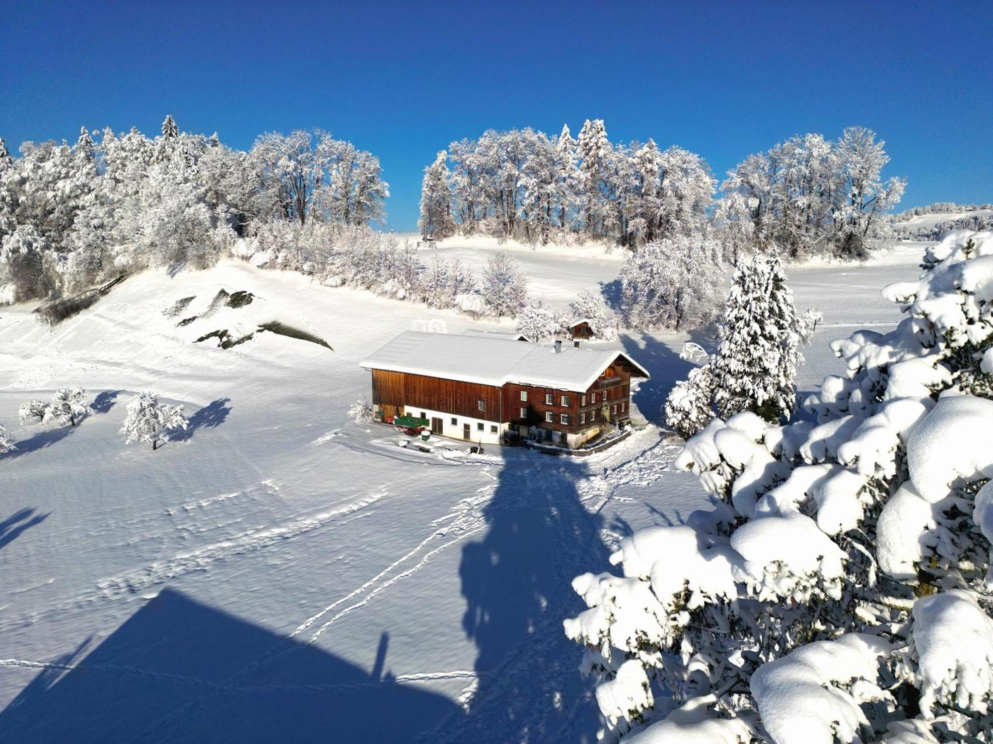 Bergoase Hohenegg Villa Lingenau Dış mekan fotoğraf