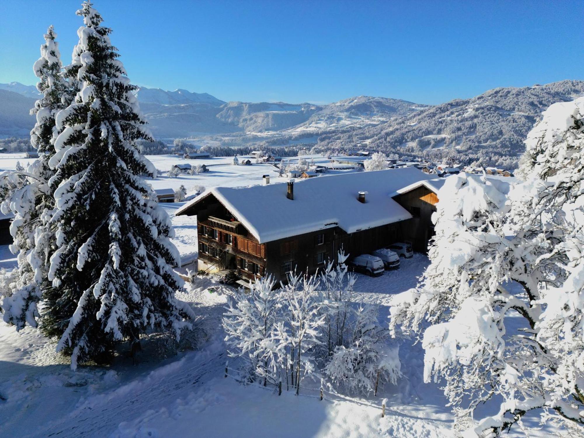Bergoase Hohenegg Villa Lingenau Dış mekan fotoğraf