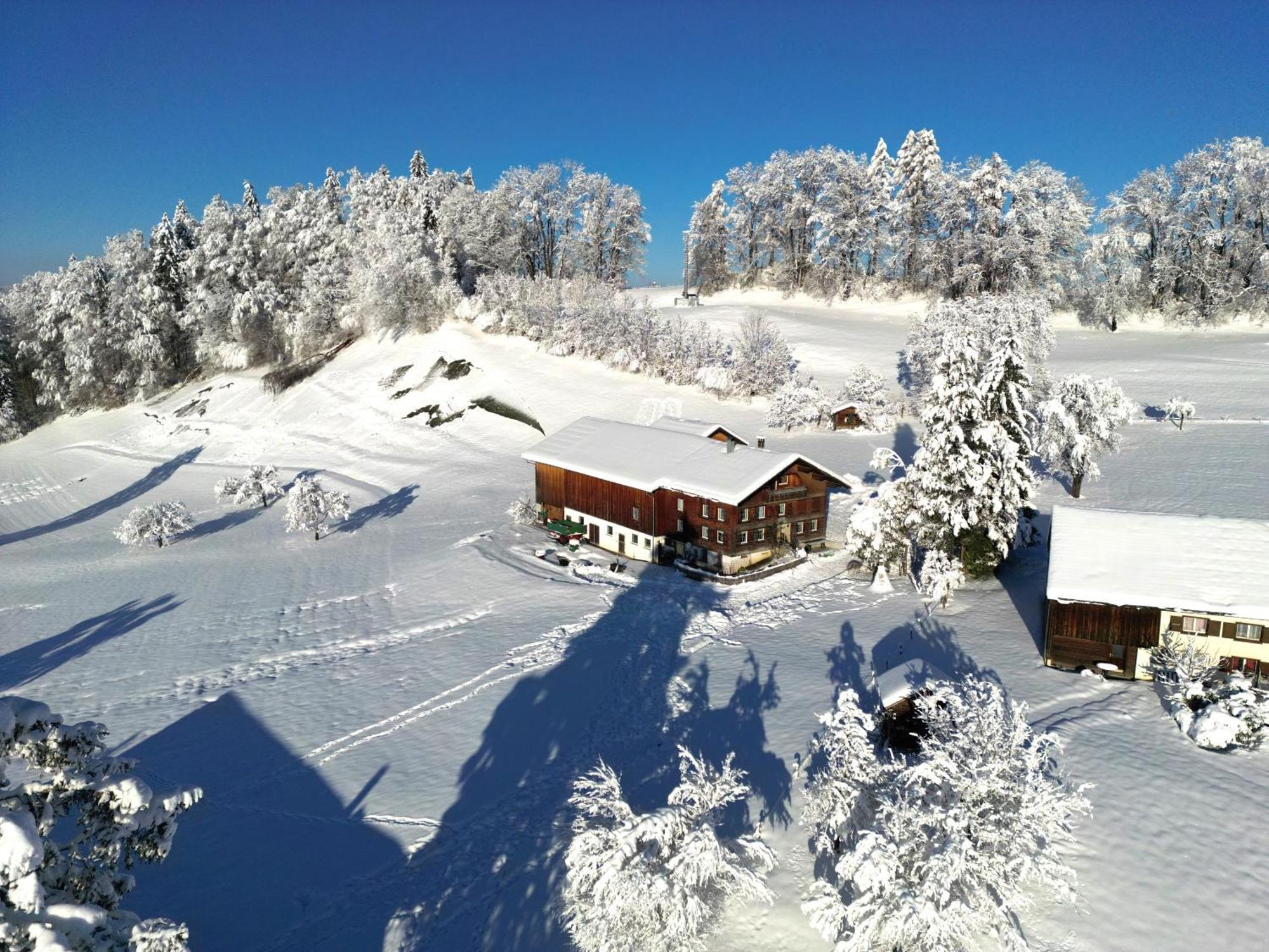 Bergoase Hohenegg Villa Lingenau Dış mekan fotoğraf