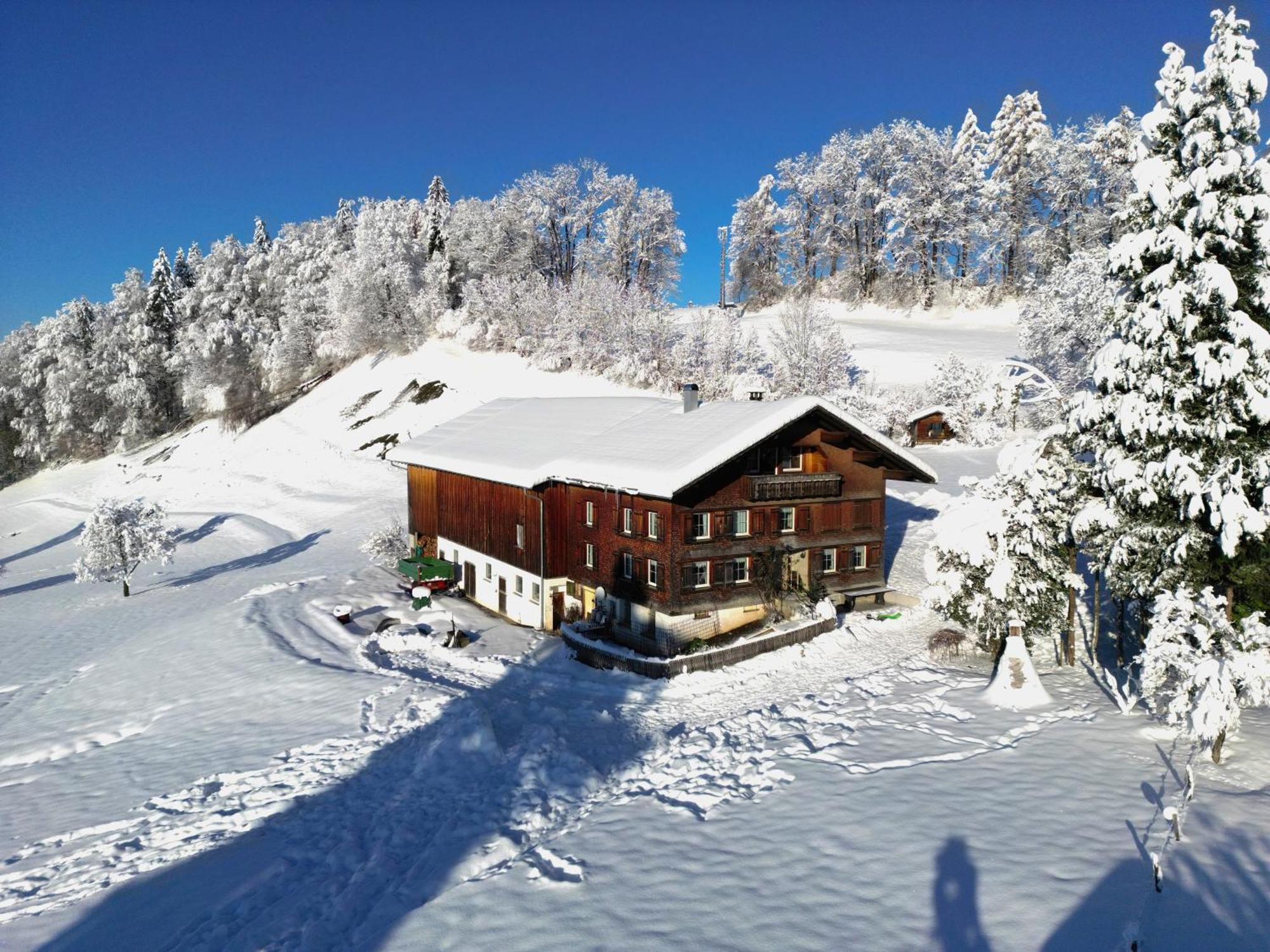 Bergoase Hohenegg Villa Lingenau Dış mekan fotoğraf