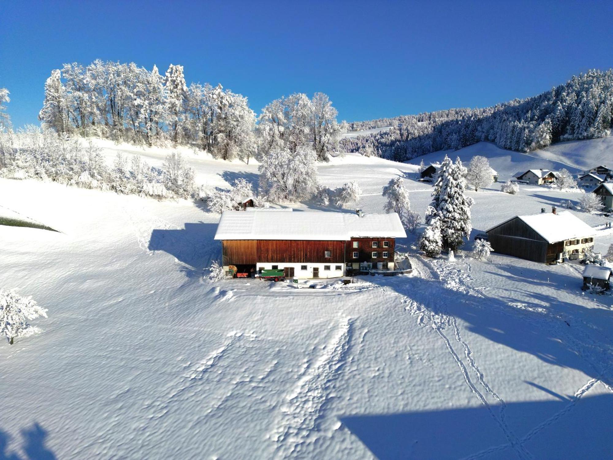 Bergoase Hohenegg Villa Lingenau Dış mekan fotoğraf